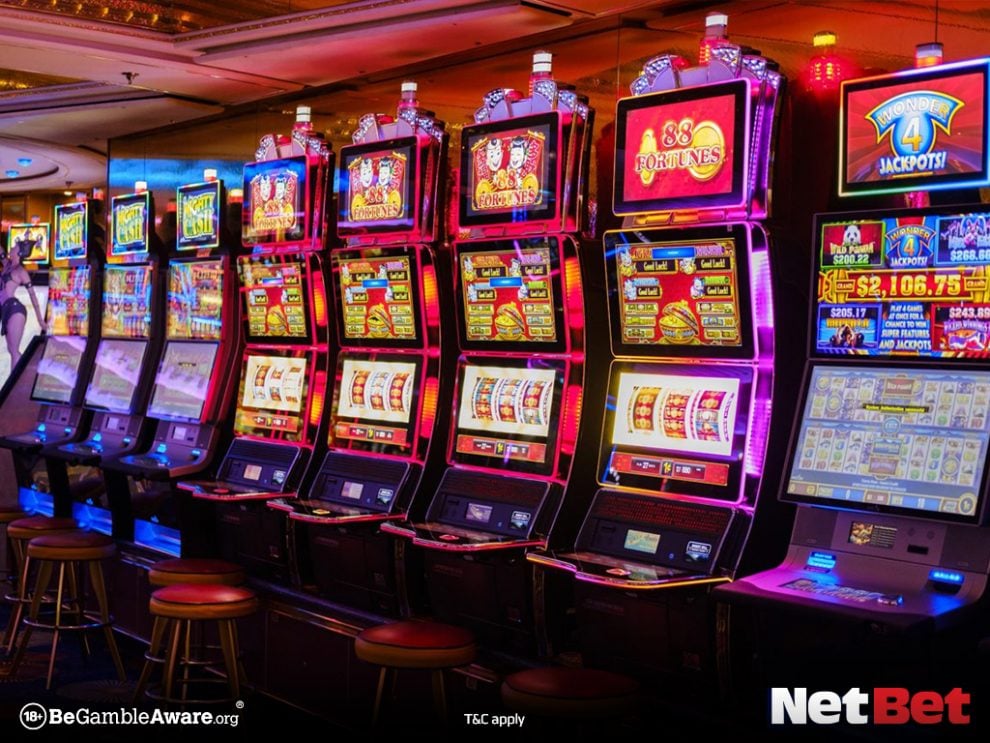 255bet|Cassino Digital com Suporte VIP 24h – Aposte e Vença