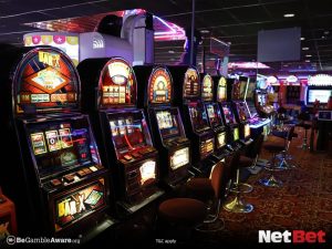 255bet|Keno Online com Suporte VIP 24h – Experimente Grátis
